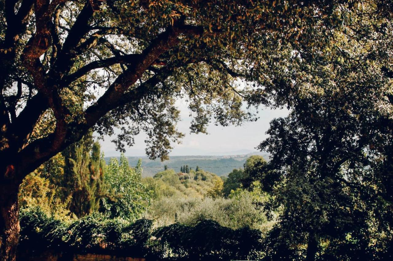 Villa Moris Bed And Breakfast Tavarnelle Val di Pesa 외부 사진